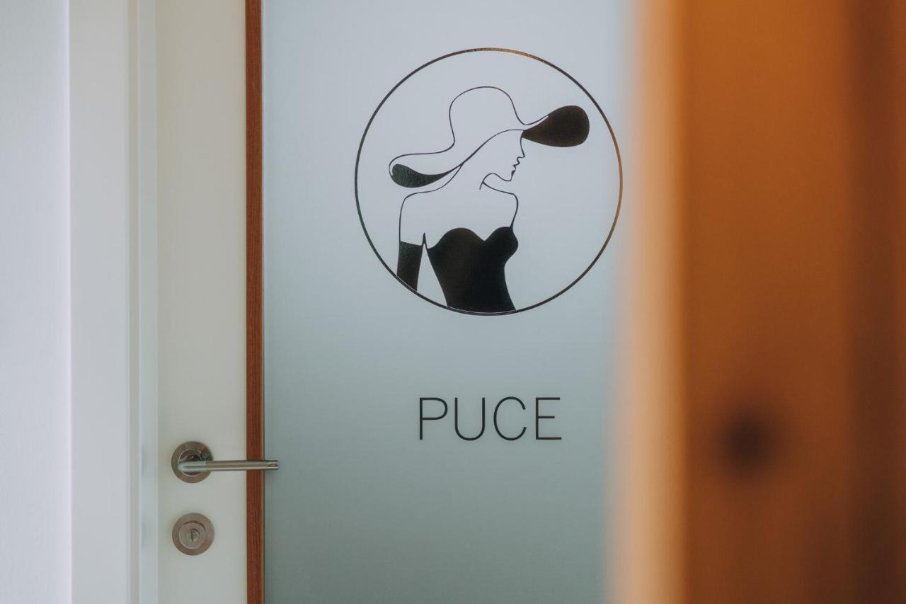 Apartment Carolija Slakovec Eksteriør billede